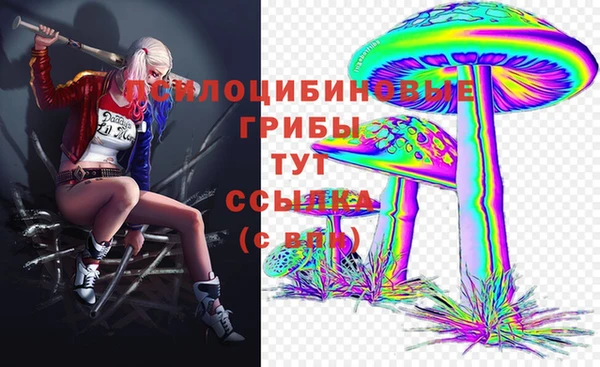 ПСИЛОЦИБИНОВЫЕ ГРИБЫ Алексин