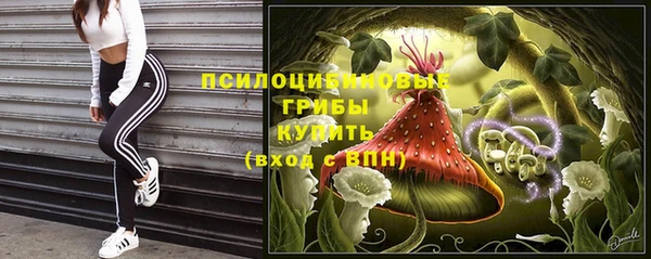ПСИЛОЦИБИНОВЫЕ ГРИБЫ Алексин