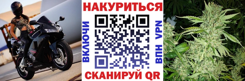 дарнет шоп  Астрахань  Канабис OG Kush 